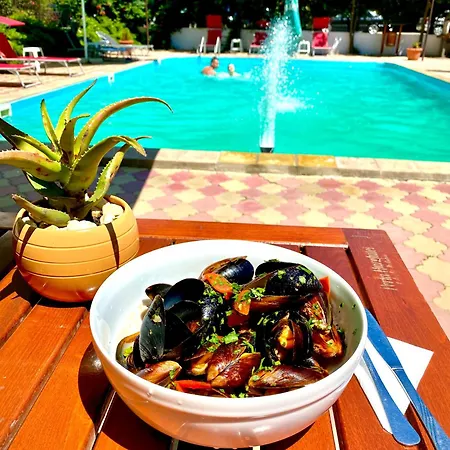 Hotel Edmond 3*